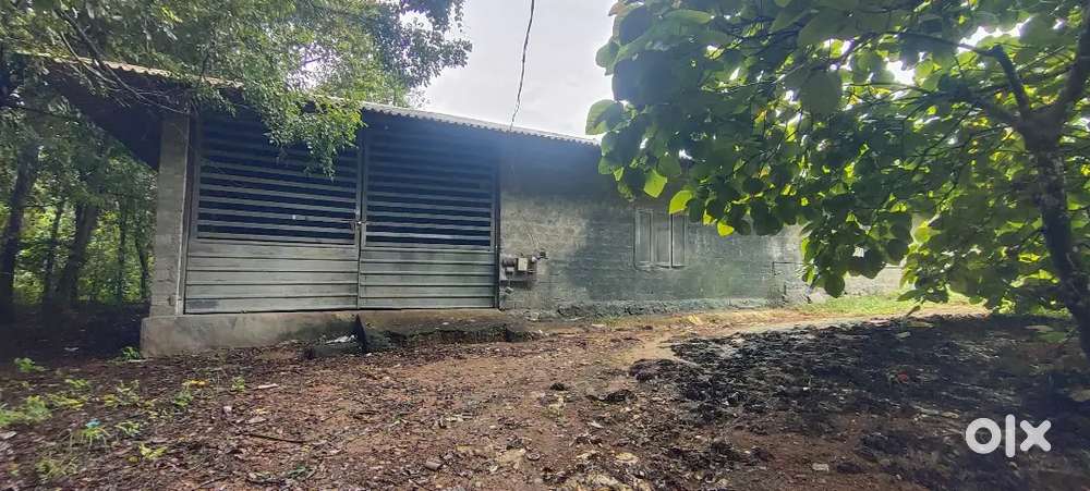 Godown for rent at kizhkkambalam erupampara 3000 sqft