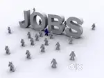 day and evening -night shift need male -female data entry staff