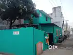 Near by all peselties
