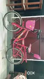 New cycle with a stand