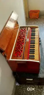 Musical instrument