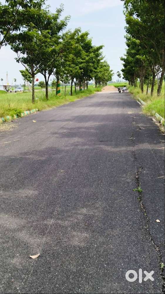 CHINNAOGIRALA CRDA KANKIPADU NEARBY PLOTS