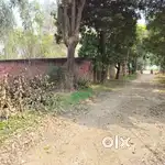 500 Sq Yards J.D Farm House, Defence Colony Ambala Cantt