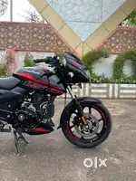 Pulsar 150CC 2024