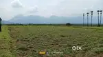 Main Road near 2.5 cent dtcp site for sale in veerapandi