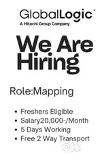 Software developer