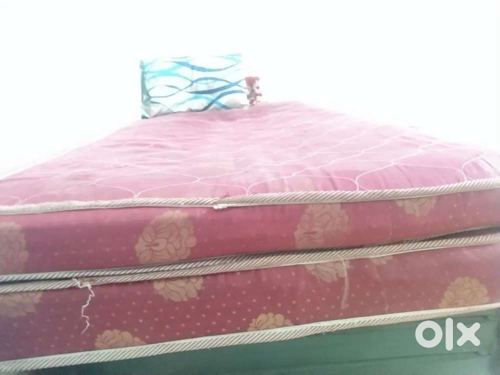 1 heavey Sofa mattress  sponge