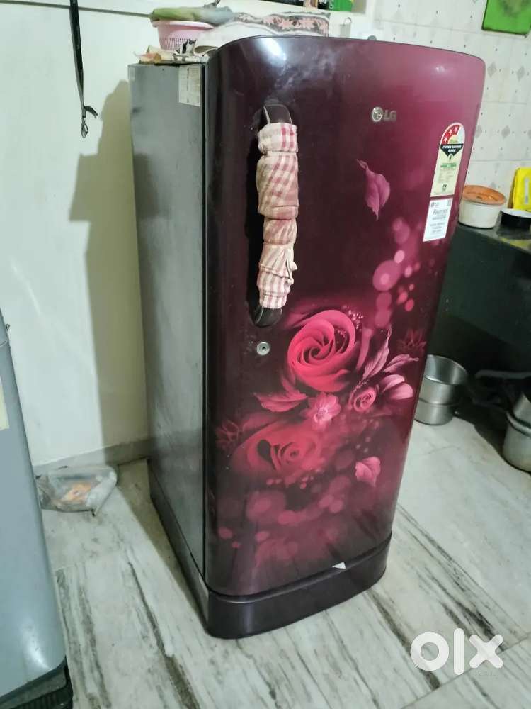 LG fridge single door