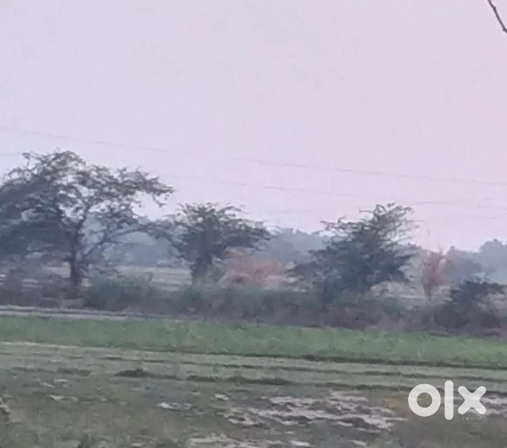 6 Bigha khet h urgent sell road se sirf ek khet chhodkar h