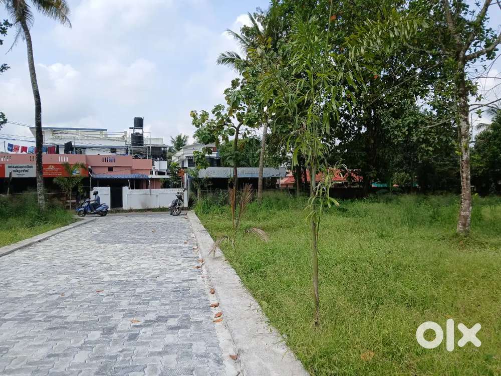 Aluva uc.college Vella  housepolot  5.cent 7cent 10cent sael