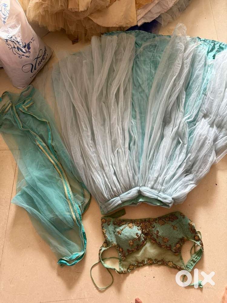 Lehnga and designer blouse