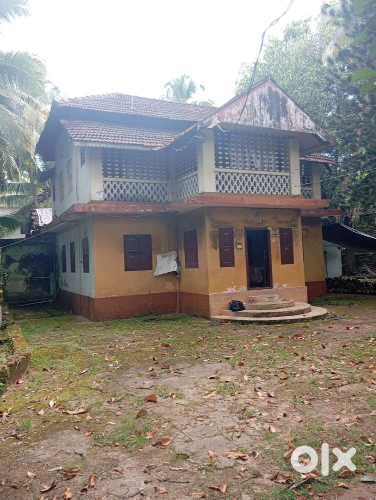 Ideal for Warehouse, Parking Yard or Pay & Park – Calicut