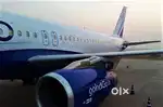 We are hiring for indigo airlines apply fast