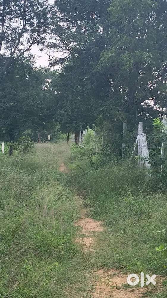 3 ACRES SALE @JUZ 80L NEAR TATA ELECTRONICS