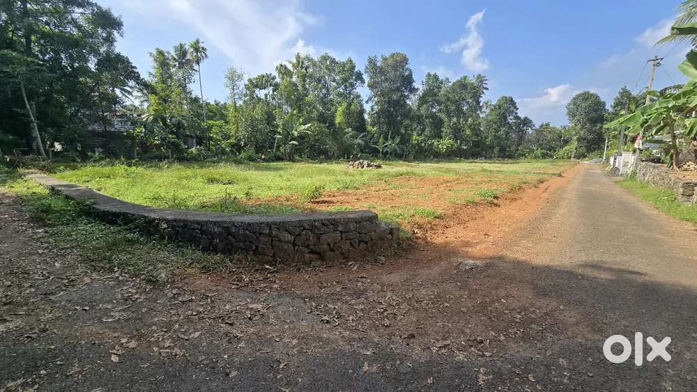 Angamaly mookkannoor near fisat 5,10,15,20 cent house plot for sale