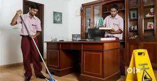 Looking for Part-Time Home/Office Assistant – Free Stay + Food