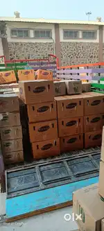 Warehouse Executive