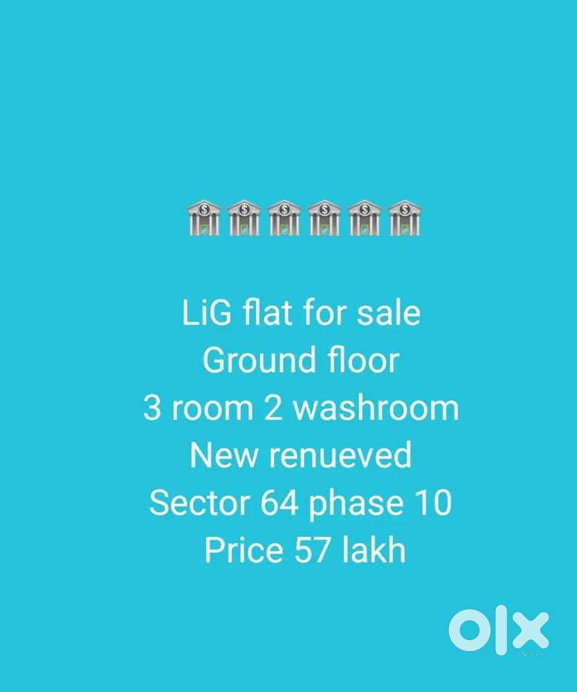 Ground floor LiG flat fully furnished Sector 64 phase 10
