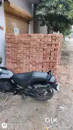 Bajaj Avanger Street 160