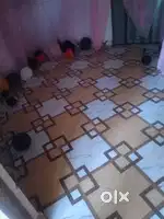 Rent house