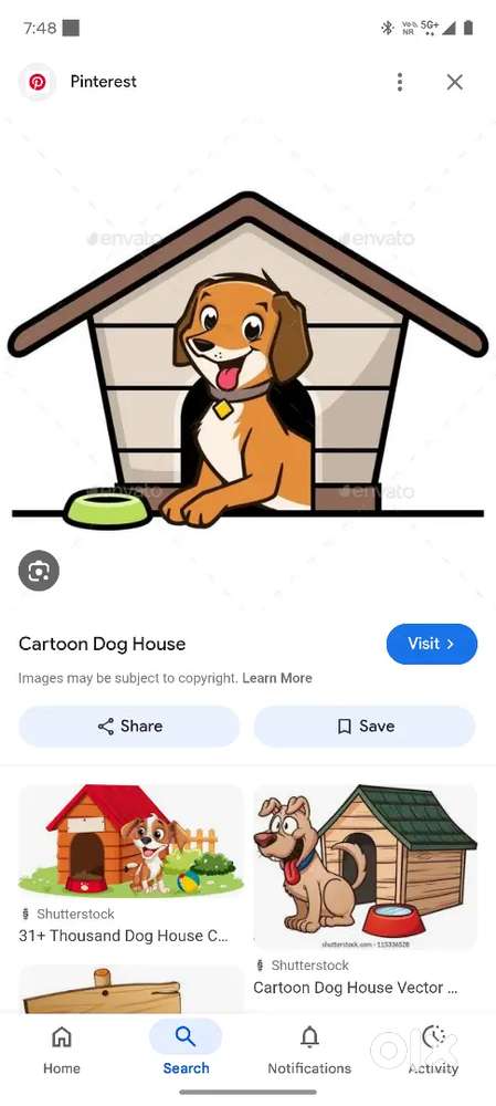 Dog care taker Job