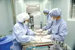 MEDICINE PACKING VACANCY AVAILABLE IN KANPUR LOCATION!!