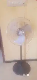 Pedasal fan.
