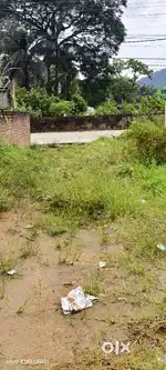 1 kotha myadi plot available for sale at Ahomgaon