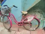 Ladybird bicycle for sale