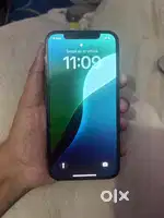 12 Pro 256GB
