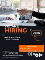 Marketing Executive