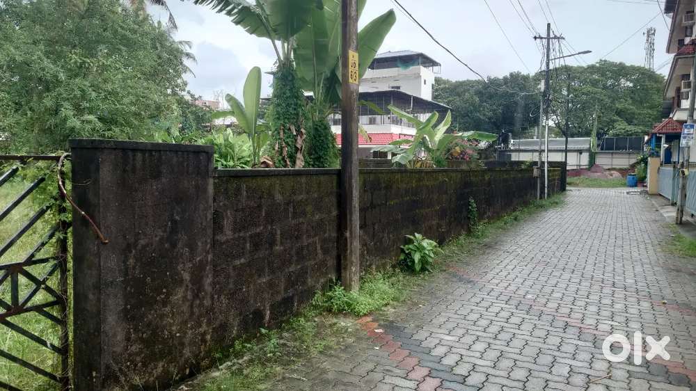 10 cents in Kathrikadavu