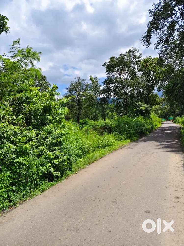 PALI KHOPOLI ROAD 5 ACERS FARM TO SELL
