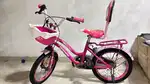 Hero kross Girls cycle 18T
