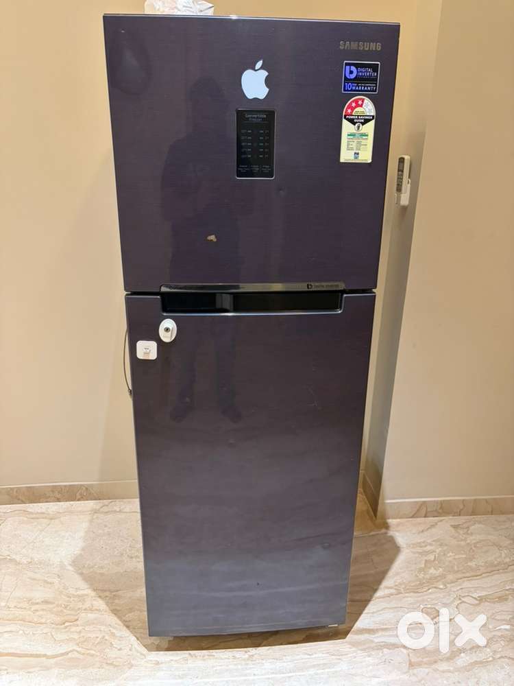 Samsung 253L Double Door Refrigerator