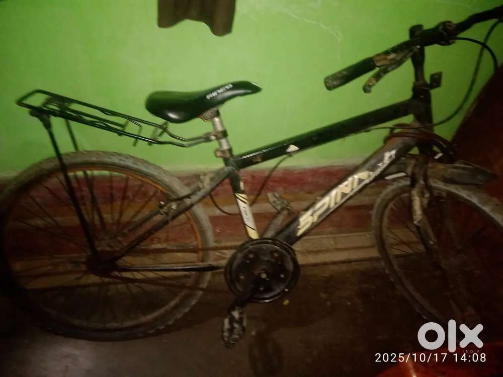 Spinner bicycle