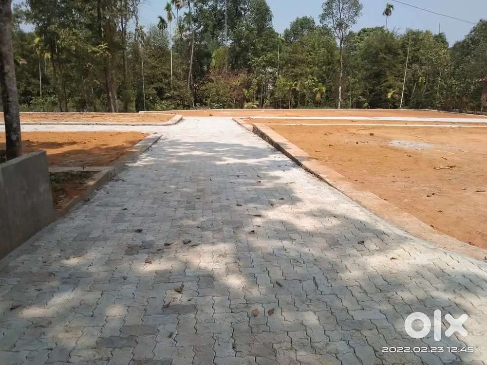 2.5 Cents at Thammanam