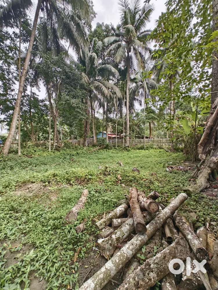 1.5 kotha land for sale