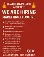 Sales Executive