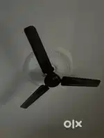 Ceiling fan for sale