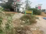 Corner plot for sale .. surrounded with house at kambarsanpettai ..