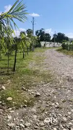 Investment and residential plots