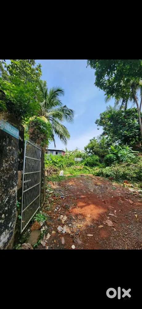 10 cent Plot near Saidar Palli, Thalassery