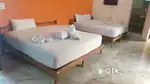 ROYAL LUXURY SERVICE APARTMENTS - 10PAX