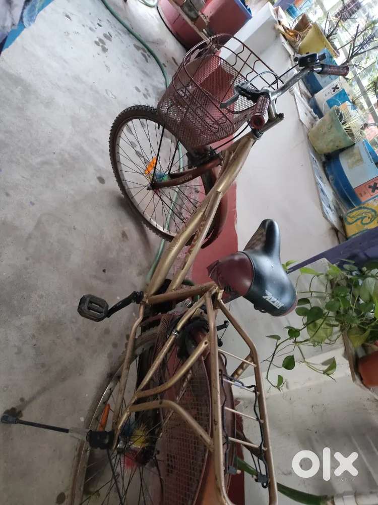 Avon ladies cycle