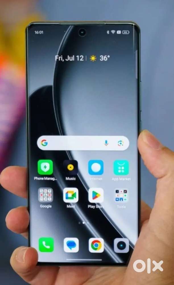 One year 3months old