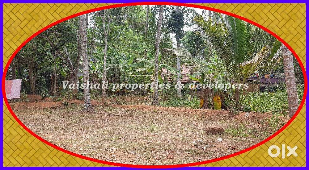 Residential Plot - Puthiyangadi - Palakada - 7 cents - 6.5 lakhs/cent