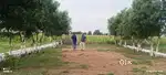 Most cost-effective plots at kanchikacherla Amravati ORR facing