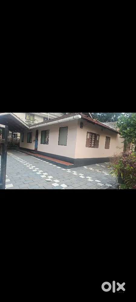 8 CENT WITH OLD HOUSE SALE KAKKANAD PADAMUGAL 1 KM DISTANCE MAIN ROAD