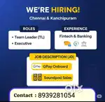 Sales executive and team leader